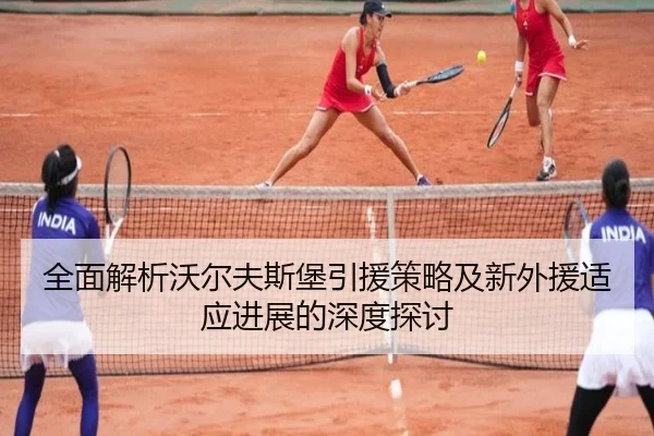 全面解析沃尔夫斯堡引援策略及新外援适应进展的深度探讨